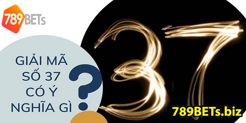 Số 37 là con gì? Đặt cược lô đề uy tín tại 789BET